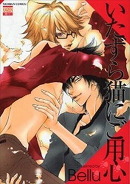 いたずら猫にご用心