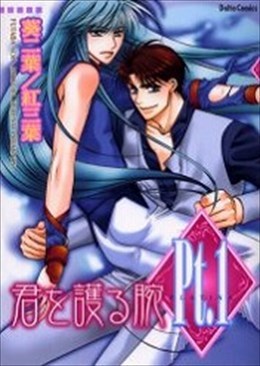 Pt .1 君を護る腕