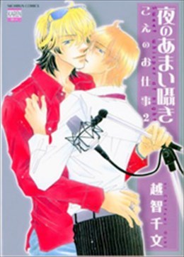 夜のあまい囁き こえのお仕事２