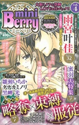 miniBerry vol.4