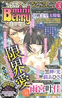 miniBerry vol.3