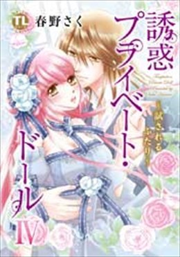 誘惑 プライベート・ドール IV ～試されるふたり～