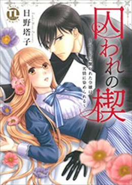 囚われの楔～ベッドに繋がれた令嬢は劣情に染められる～