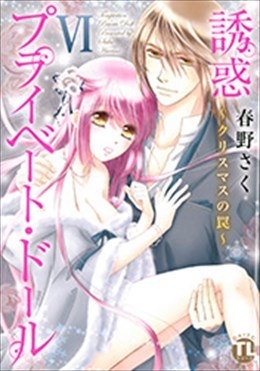 誘惑 プライベート・ドール Ⅵ～クリスマスの罠～