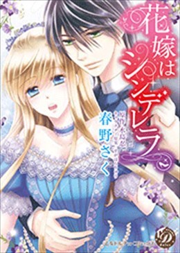 花嫁はシンデレラ