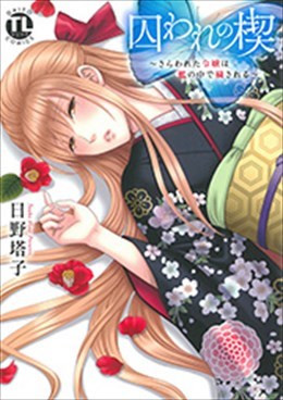 囚われの楔～さらわれた令嬢は檻の中で穢される～