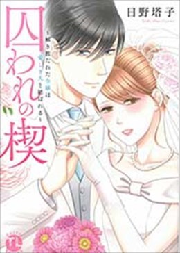 囚われの楔～解き放たれた令嬢は愛しき人と結ばれる～
