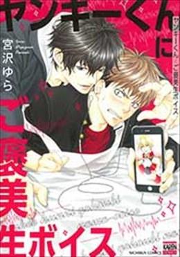 ヤンキーくんにご褒美生ボイス