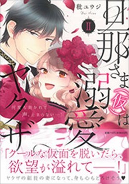 旦那さま(仮)は溺愛ヤクザⅡ 何度も突かれて声、止まらない…！