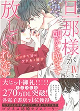 旦那様が朝から晩まで放してくれないⅣ エッチで甘いワケあり婚!?