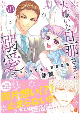 大嫌いな旦那さまに溺愛されてます Ⅲ ドSな社長と政略結婚