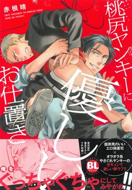 桃尻ヤンキーに優しいお仕置き