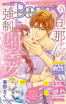 miniBerry vol.73