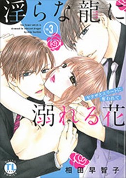 淫らな龍に溺れる花 3 ～ヤクザとエリートに奪われて