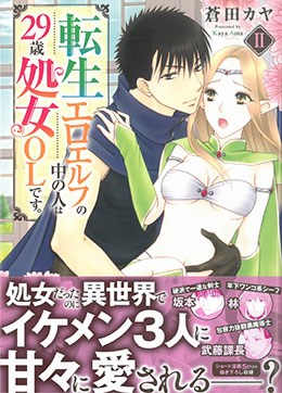 転生エロエルフの中の人は29歳処女OLです。 Ⅱ