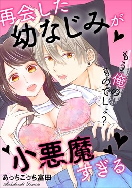 再会した幼なじみが小悪魔すぎる～もう俺のものでしょ？