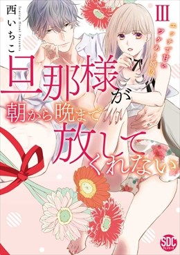 旦那様が朝から晩まで放してくれない～エッチで甘いワケあり婚!?【コミックス版】【コミックス版限定特典付き】3