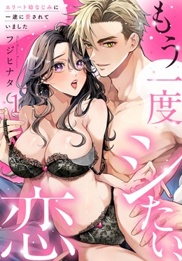 もう一度シたい、恋～エリート幼なじみに一途に愛されていました～