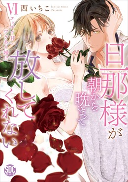 旦那様が朝から晩まで放してくれない～エッチで甘いワケあり婚!?【コミックス版】【コミックス版限定特典付き】6