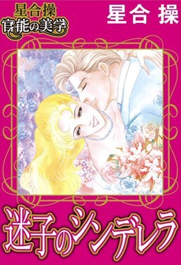 【星合 操 官能の美学】迷子のシンデレラ