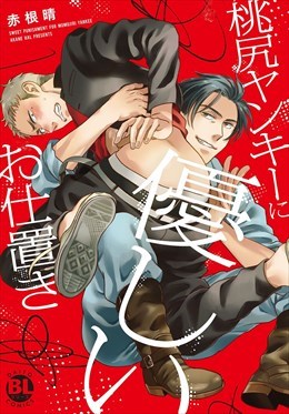 【電子版特典付】桃尻ヤンキーに優しいお仕置き