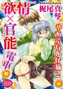 欲情×官能電車～あぶない仔猫2