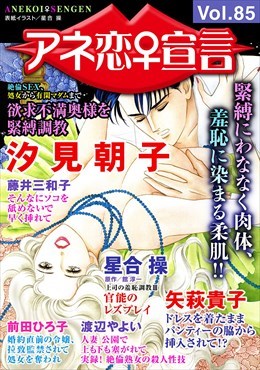 アネ恋宣言 Vol.85