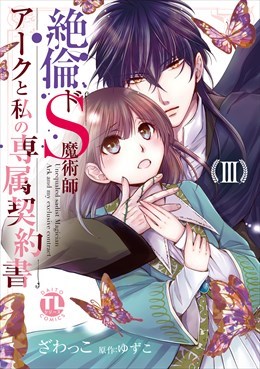 絶倫ドS魔術師アークと私の専属契約書【単行本版】3