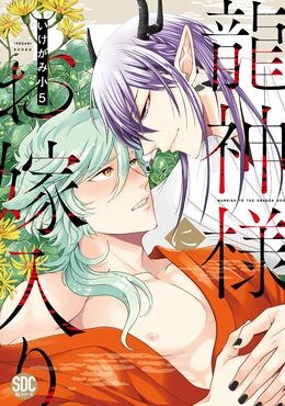 龍神様にお嫁入り【単行本版】【電子書店特典付き】1