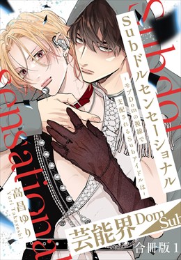 Subドルセンセーショナル～モブDomの視線で支配されるSubアイドルは～【合冊版】